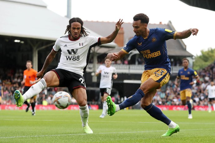 Nhận định Fulham vs Newcastle, 2h00 ngày 28/1 Nhận định Fulham vs Newcastle, 2h00 ngày 28/1