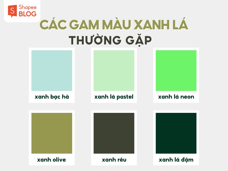 684d7dc9-ao-xanh-la-mac-voi-quan-mau-gi Những gam màu xanh lá thường dùng trong thời trang (Nguồn: Shopee Blog)